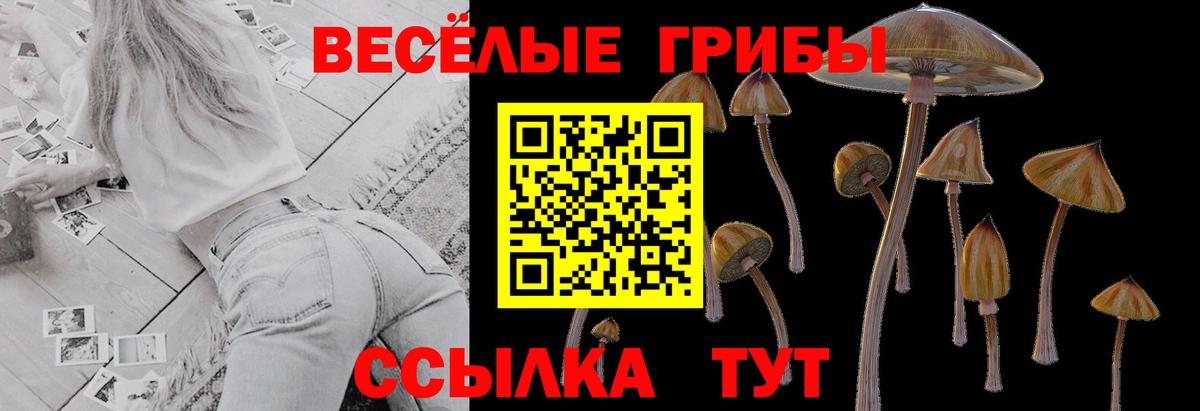 Псилоцибиновые грибы прущие грибы Электросталь